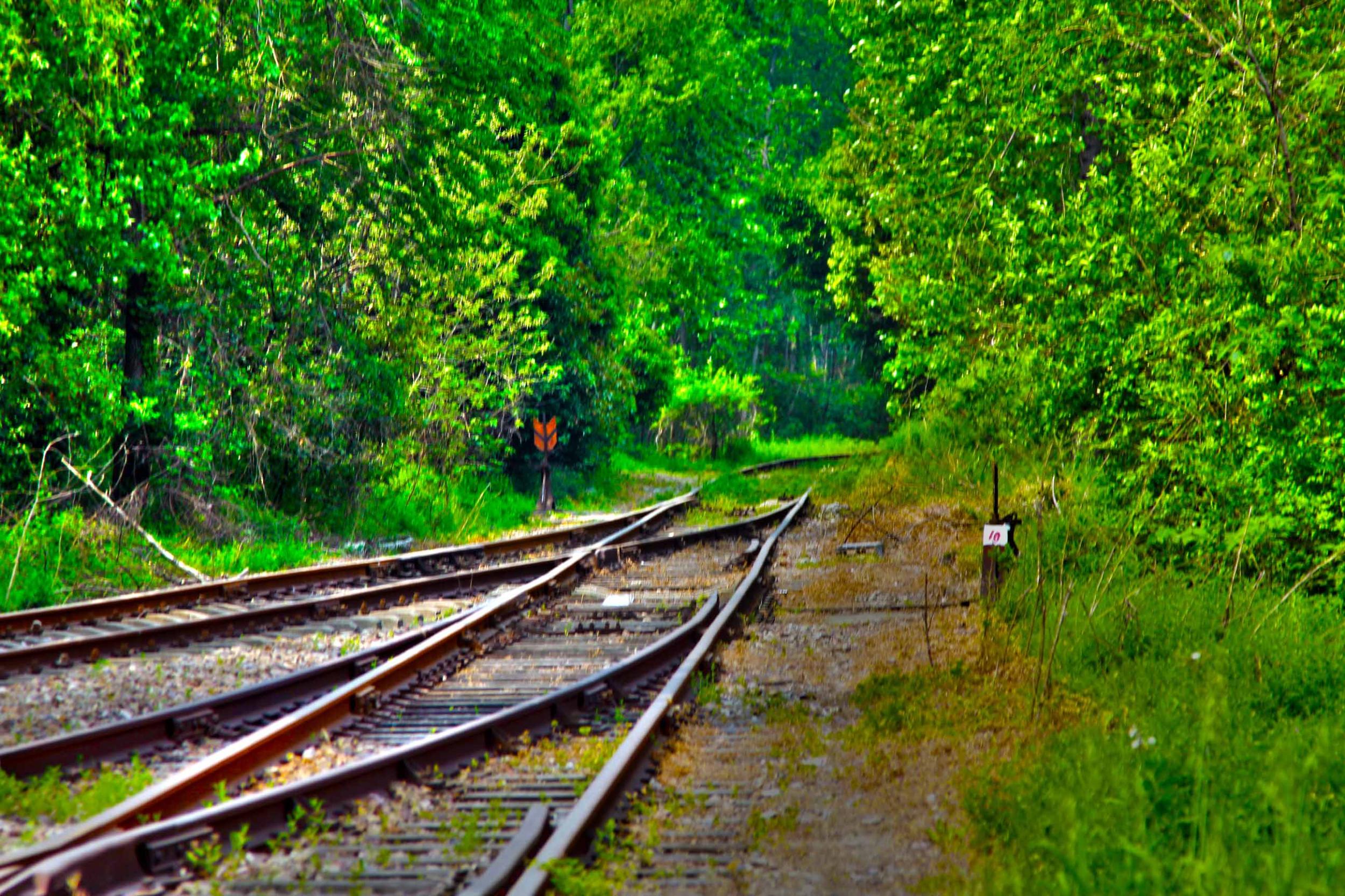 我省今年年內(nèi)有4條鐵路線投入運(yùn)營(yíng)更多出行選擇！