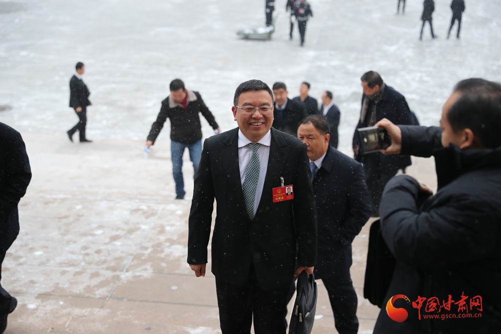 【聚焦2020甘肅兩會】“兩會”代表、委員風采掠影（組圖）