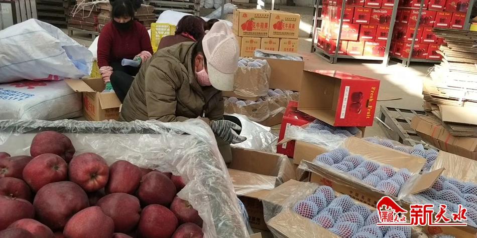 天水“花?！弊罱悬c“牛”