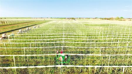 聚焦精準(zhǔn)攻堅 做實(shí)產(chǎn)業(yè)扶貧——慶陽市脫貧攻堅工作綜述