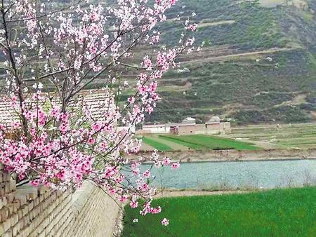 美顏值　增內(nèi)涵——定西渭源縣峽城鄉(xiāng)全力推進美麗鄉(xiāng)村建設(shè)側(cè)記