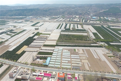 臨夏州康樂縣積極調整農業(yè)產業(yè)結構