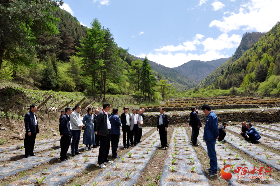 白龍江博峪河保護(hù)局開展產(chǎn)業(yè)發(fā)展、義務(wù)勞動(dòng)成果現(xiàn)場(chǎng)觀摩交流活動(dòng)