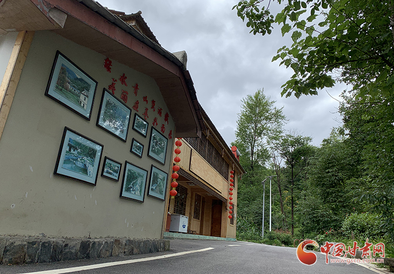 【走向我們的小康生活】村美、業(yè)興、民富……康縣何家莊描繪鄉(xiāng)村振興新畫卷（圖）