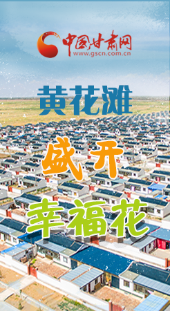 【跟著總書記看甘肅】長圖|武威黃花灘盛開幸?；?
