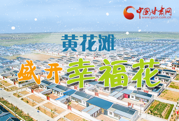 【跟著總書記看甘肅】長圖|武威黃花灘盛開幸?；?