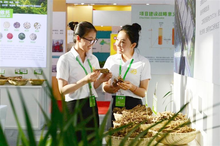 定西，從“千年藥鄉(xiāng)”邁向“中國藥都”