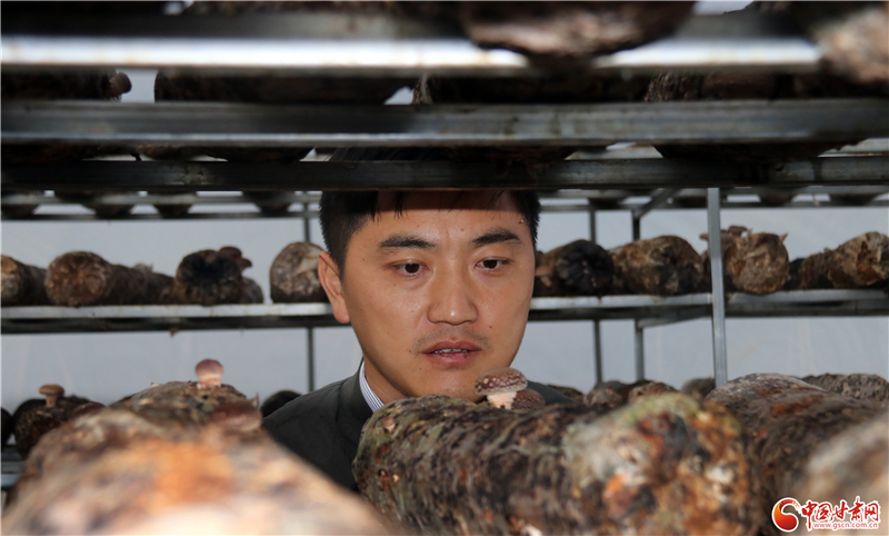 110年！何家溝村終于有了集體經(jīng)濟(jì)——中建二局黨建結(jié)對幫扶成效顯著