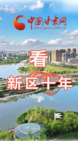 圖解|崛起！新區(qū)十年