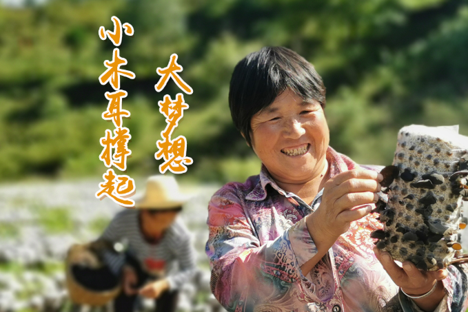 海報(bào)丨他們，乘“豐”破浪！