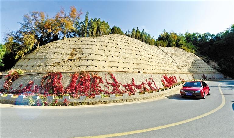 近90度陡坡上種樹！蘭州南北兩山綠化出新招