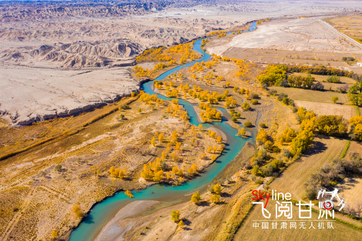【飛閱甘肅】好美！疏勒河畔大地斑斕