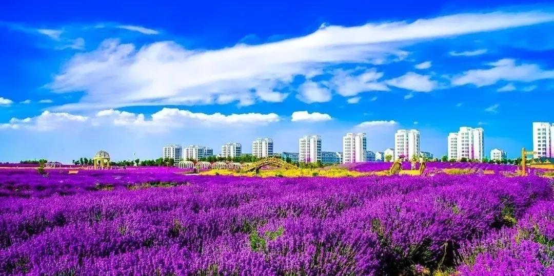 喜訊！金昌蟬聯(lián)全國(guó)文明城市