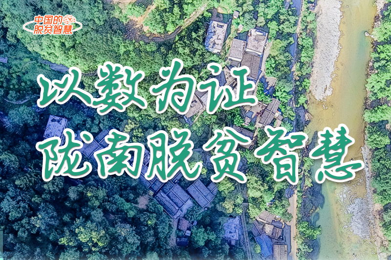 【中國(guó)的脫貧智慧】以數(shù)為證！隴南脫貧智慧來(lái)了！