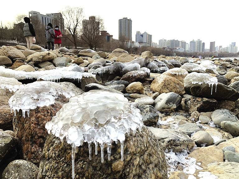 蘭州：水母上河灘？