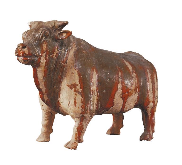 打開眼界丨牛年看牛，越看越牛!