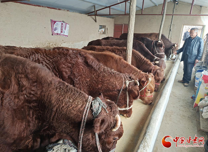 平?jīng)鰶艽ǎ骸芭！碑a(chǎn)業(yè)鋪就致富路