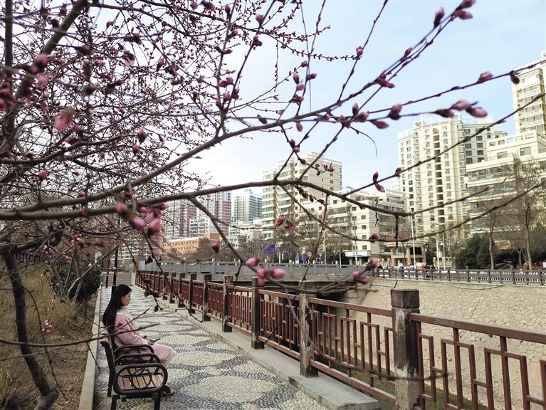 蘭州“第一朵花”開了！