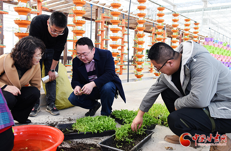 酒泉肅北：農(nóng)技專(zhuān)家田間“把脈”為春耕備耕“開(kāi)良方”