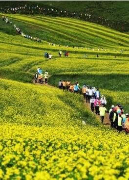 甘肅明確農(nóng)民進城落戶:不以退出承包地、林地等為條件