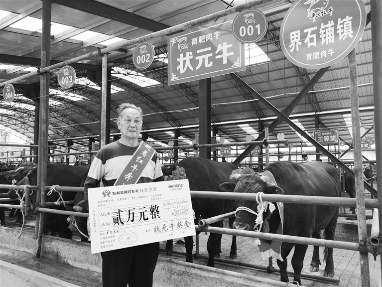 120頭“平?jīng)黾t?！膘o寧爭(zhēng)霸