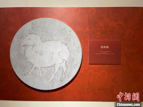 圖為展覽現(xiàn)場(chǎng)?！〗瓧顭?攝