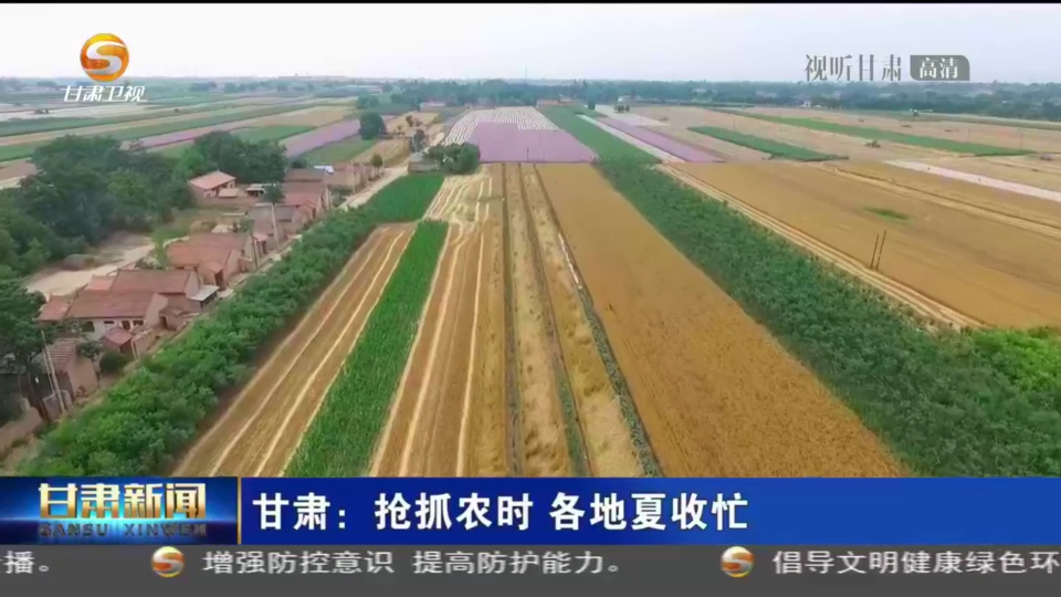【短視頻】甘肅：搶抓農(nóng)時 各地夏收忙
