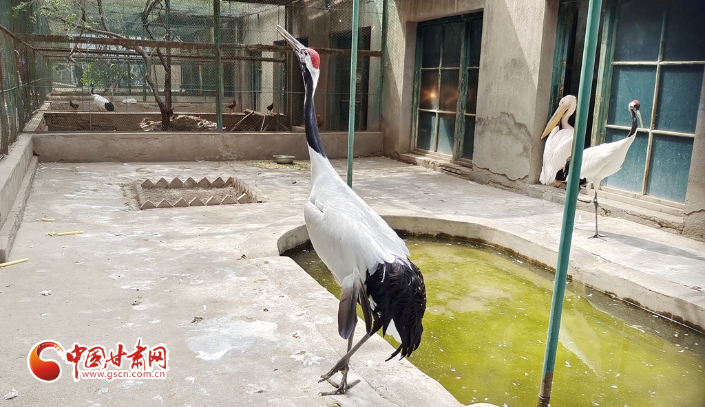 蘭州公安提醒市民：非緊急非必要，不出境