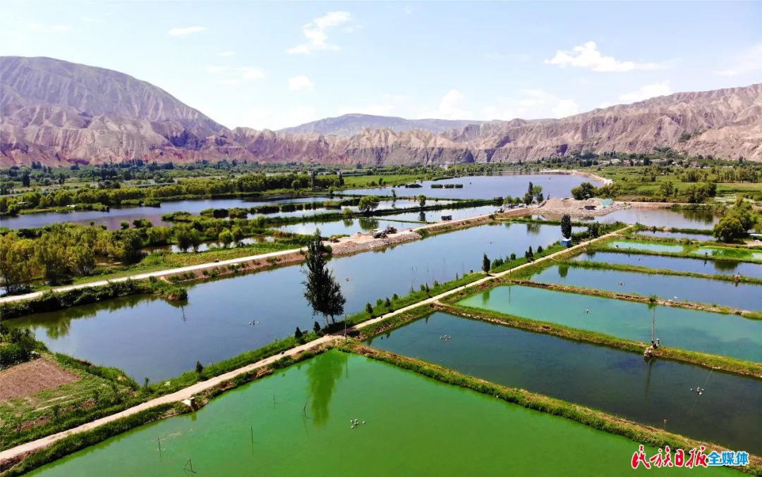 一秒入畫！太極島濕地風光秀麗