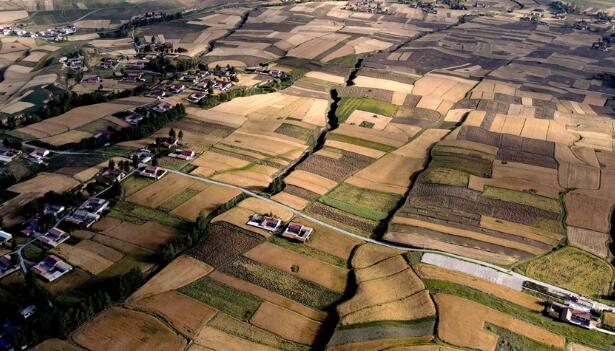 【“飛閱”中國(guó)】甘肅張掖：金色麥田豐收忙