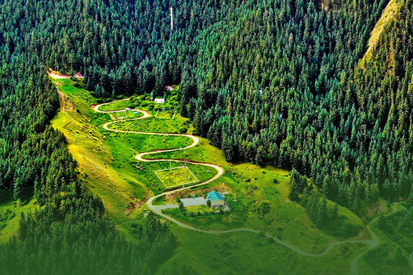 海報(bào)|祁連山保護(hù)區(qū)生態(tài)環(huán)境問(wèn)題整改全面完成！