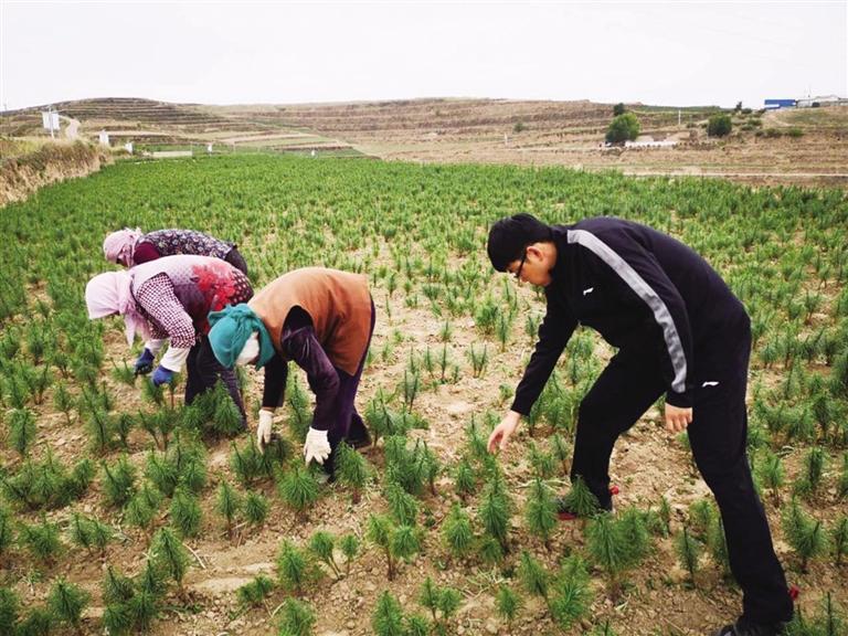 做村民的知心人 把村民當(dāng)成親人——記榆中縣哈峴鄉(xiāng)柳樹(shù)村駐村幫扶工作隊(duì)隊(duì)員王志榕