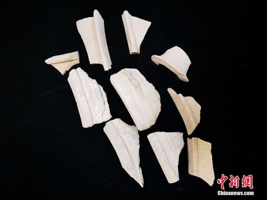 圖為靜寧縣賈河鄉(xiāng)竇坪村出土的彩陶片、紅陶片。 夏劍鋒 攝