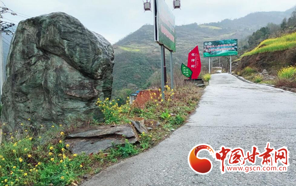 隴南市文縣中廟鎮(zhèn)：春濃人勤早 采茶正當時