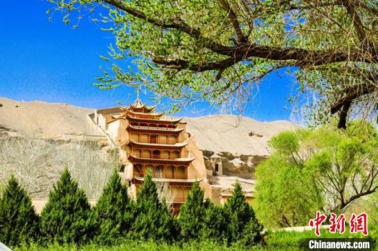 4月的敦煌莫高窟景區(qū)春意盎然。(資料圖) 王斌銀 攝