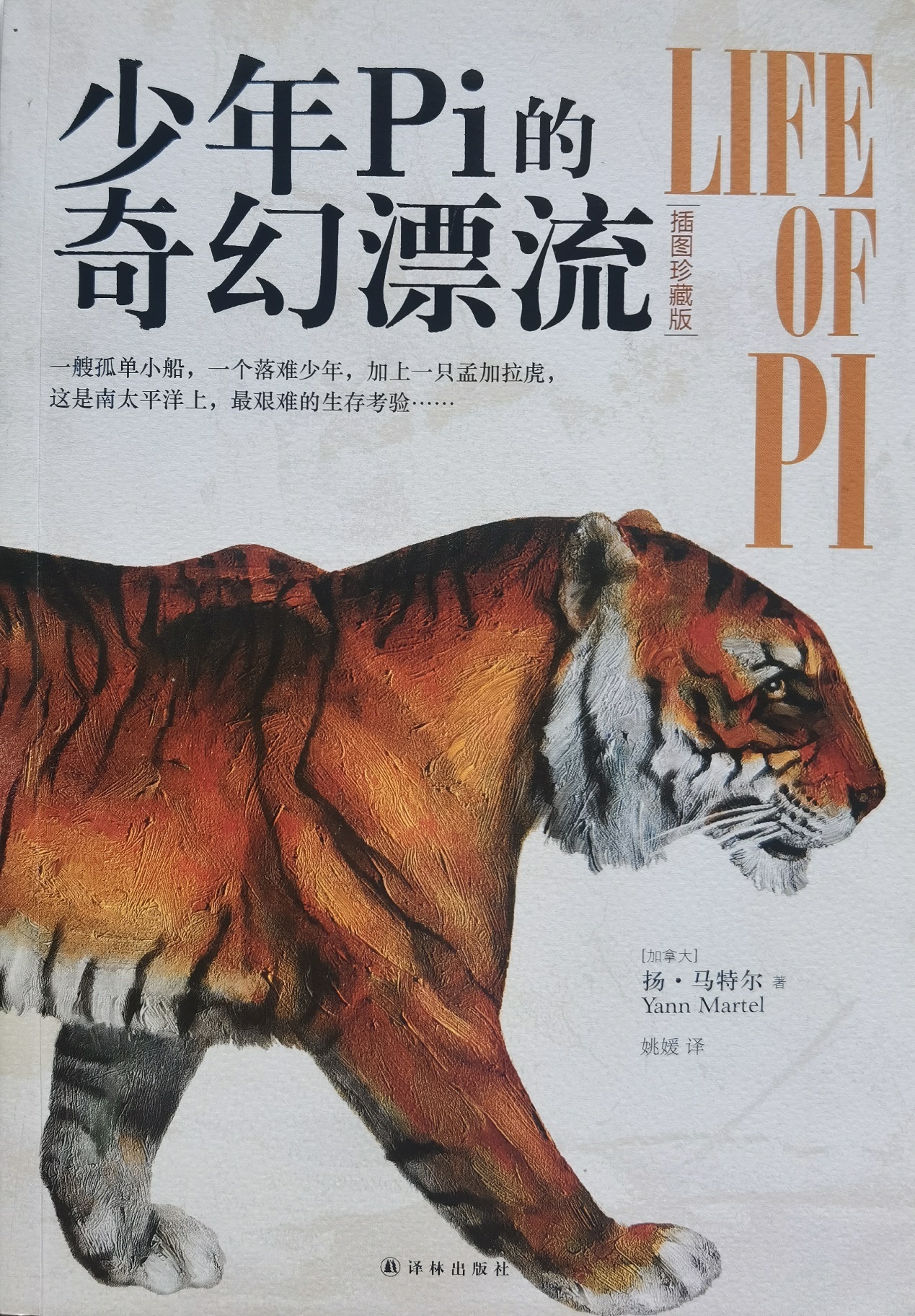 插圖1：揚？馬特爾的小說《少年pi的奇幻漂流》封面