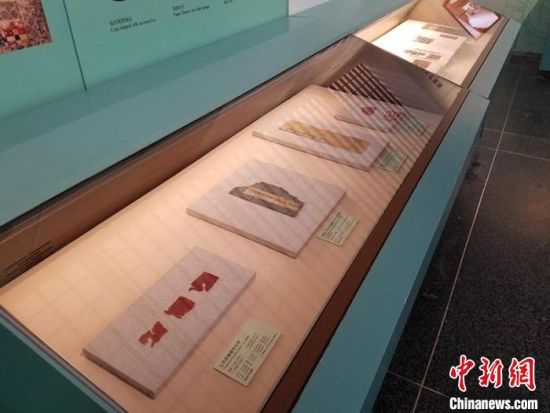 圖為展覽現(xiàn)場(chǎng)?！《鼗脱芯吭汗﹫D