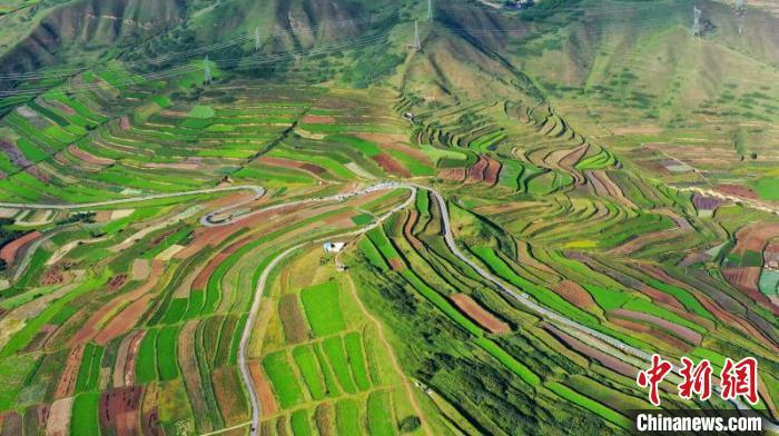 秋日里，榆中縣馬坡鄉(xiāng)千畝梯田，不同農(nóng)作物漸趨成熟，呈現(xiàn)出多種色彩，宛若大地的“調(diào)色盤”?！圆?攝