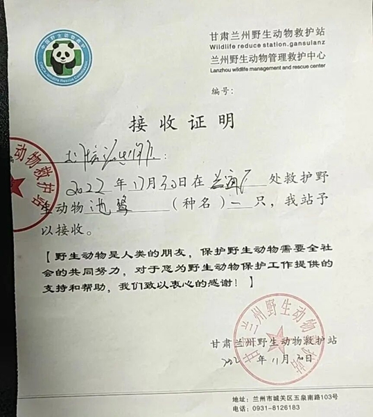 受到救助的池鷺被蘭州野生動物保護站接收。（蘭州市公安局七里河分局供圖）