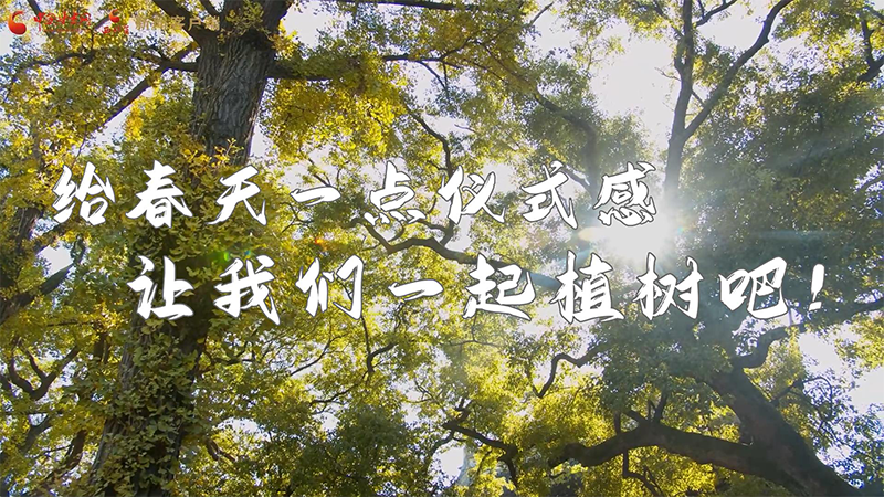 短視頻|給春天一點儀式感，讓我們一起植樹吧！