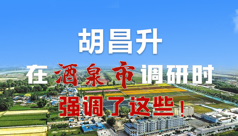 圖解|胡昌升在酒泉市調研時強調了這些！