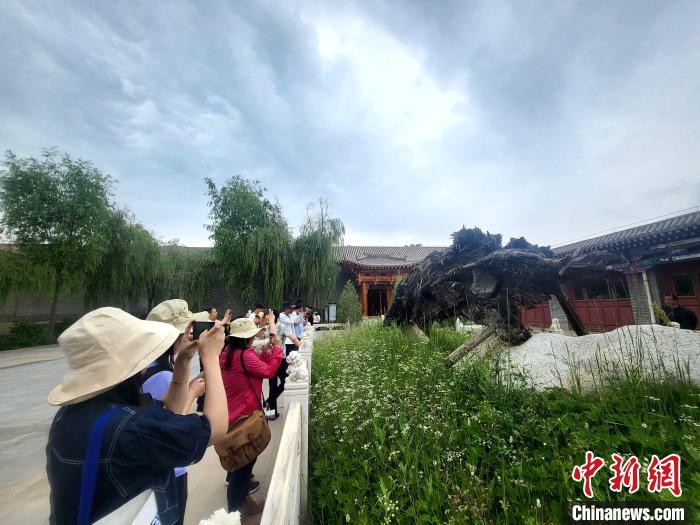 圖為媒體記者在青海永錄民俗參觀采訪?！⊙Φ?攝