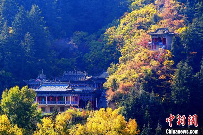 深秋，位于蘭州市榆中縣的興隆山景色如畫。宮衛(wèi)紅 攝