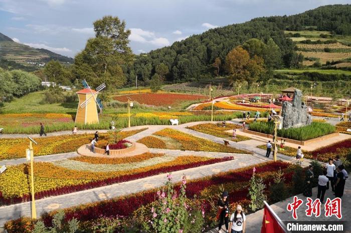 圖為航拍甘肅甘南臨潭縣八角鎮(zhèn)，花海吸引游人。(資料圖)高展 攝