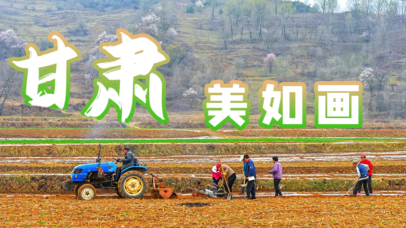 微海報|甘肅，美如畫