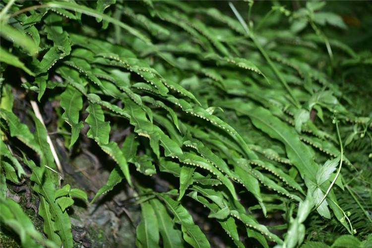 1714275589880656.jpg 16-2.jpg