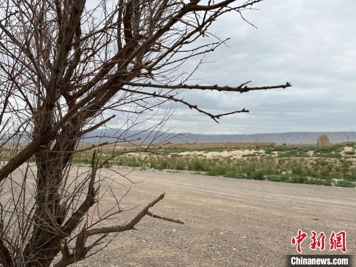 圖為位于長城墻體上的“馬面”或“敵臺”。　戴文昌 攝