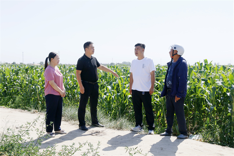 臨澤縣沙河鎮(zhèn)紀委工作人員深入田間地頭了解玉米制種生產情況.jpg