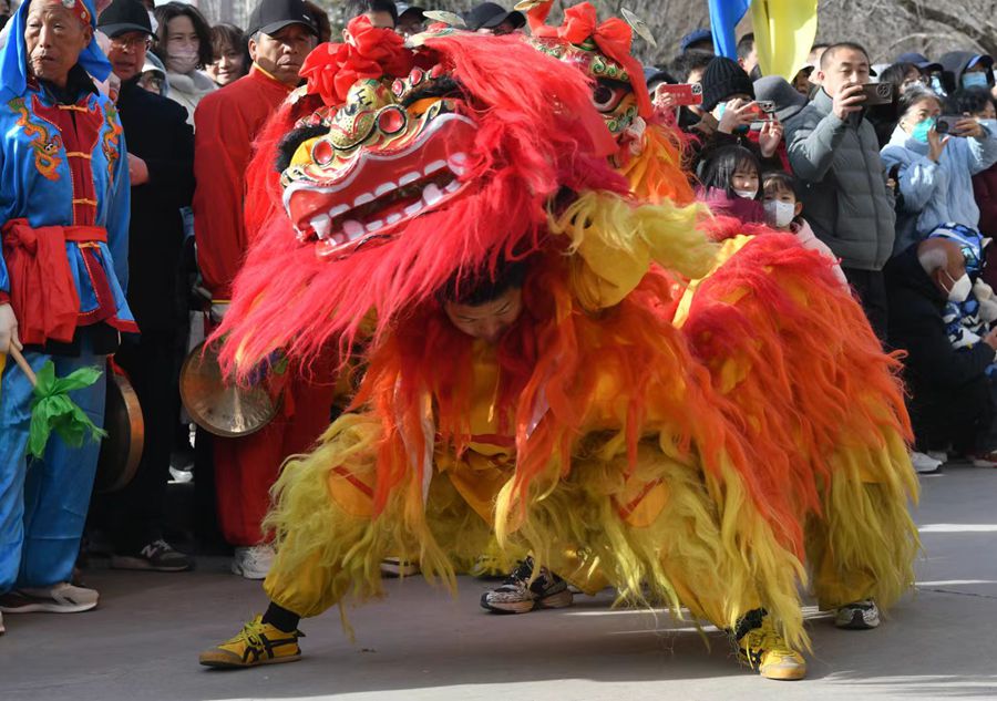 蘭州北獅表演現(xiàn)場(chǎng)。受訪者供圖