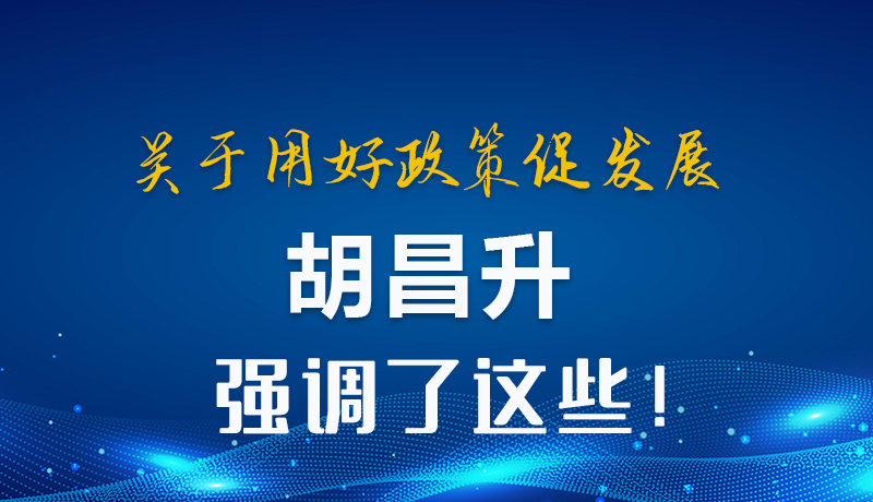 圖解|關(guān)于用好政策促發(fā)展 胡昌升強調(diào)了這些！